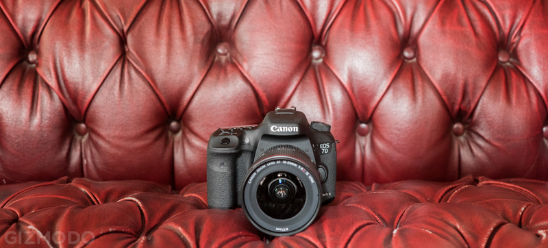 Illustration for article titled Canon 7D Mark II: The Best DSLR For Sports and Wildlife, But That's All